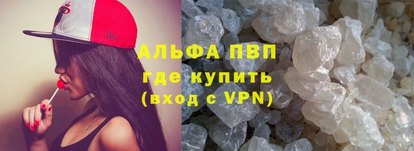 молекула духа Богданович