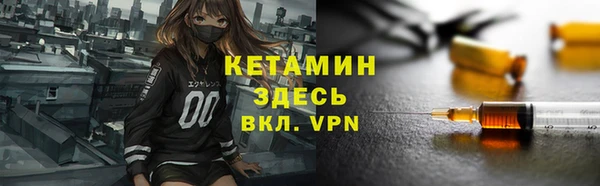 молекула духа Богданович
