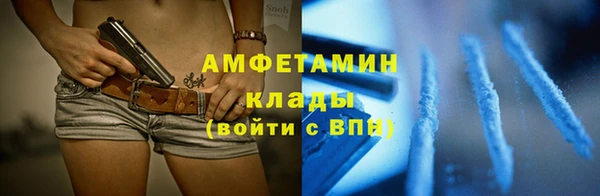 молекула духа Богданович