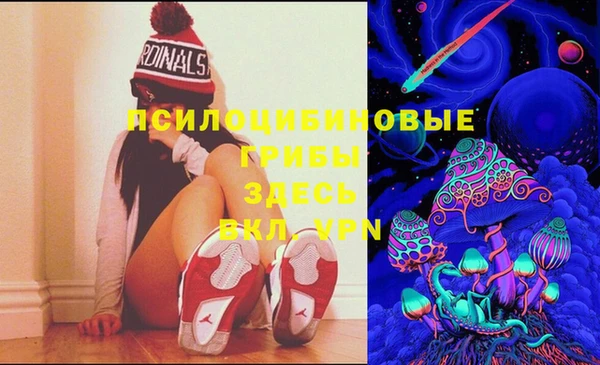 ПСИЛОЦИБИНОВЫЕ ГРИБЫ Беломорск