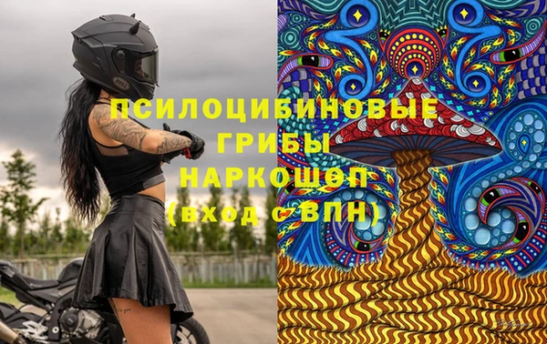 гидропоника Покачи