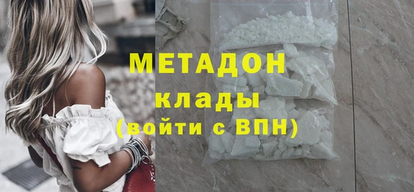 молекула духа Богданович