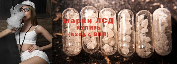 стафф Богородицк