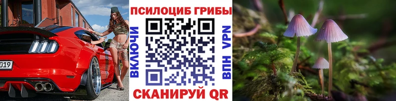 Псилоцибиновые грибы ЛСД кракен ONION Бежецк